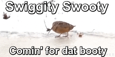 post-54336-swiggity-swooty-Im-coming-for-ogqm.gif