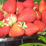 strawberries-150x150.jpg