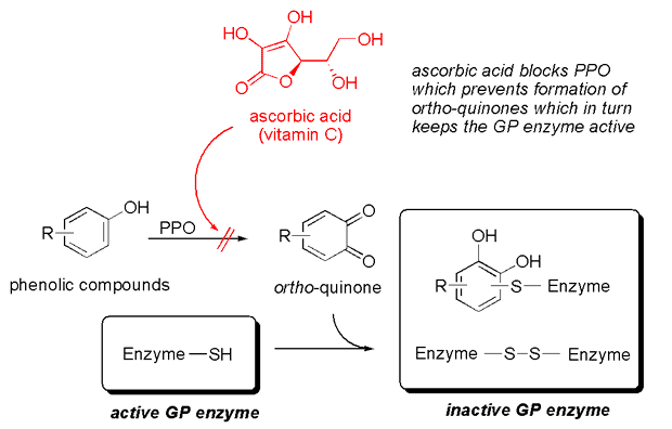 PPO-ascorbic-acid.png