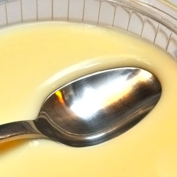 ginger-milk-curd-floating-spoon-closeup.jpg