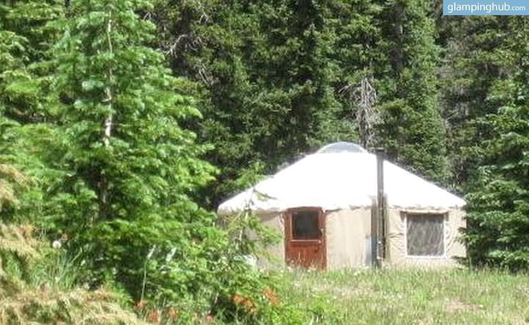 cozy-yurt-nestled-rocky-mountains-backcountry-colorado-image-61.jpg