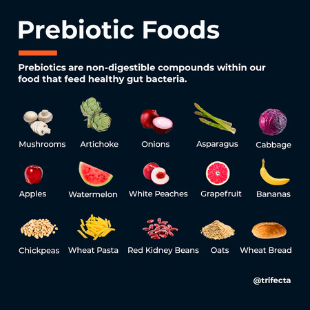 big-prebiotic-infographic-instagram-jpg.jpeg